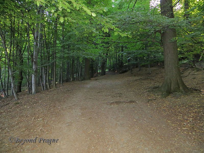 In the game park surrounding the castle.