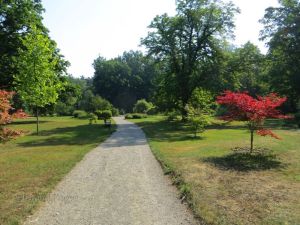 A view of the gardens surrounding the chateau.