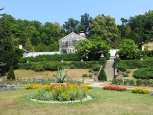 A view to the greenhouse from across the rose garden.